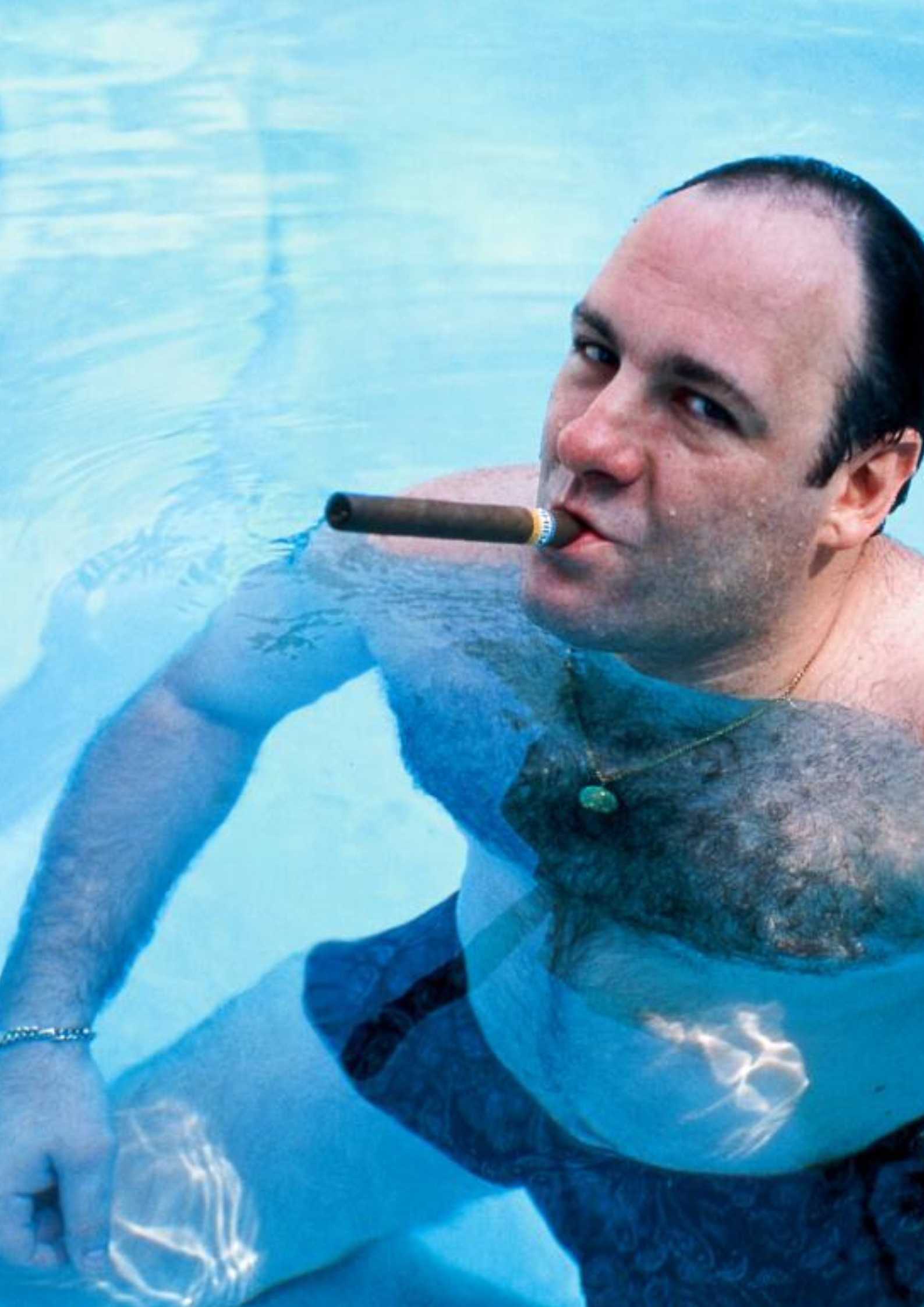 TONY SOPRANO POOL POSTER
