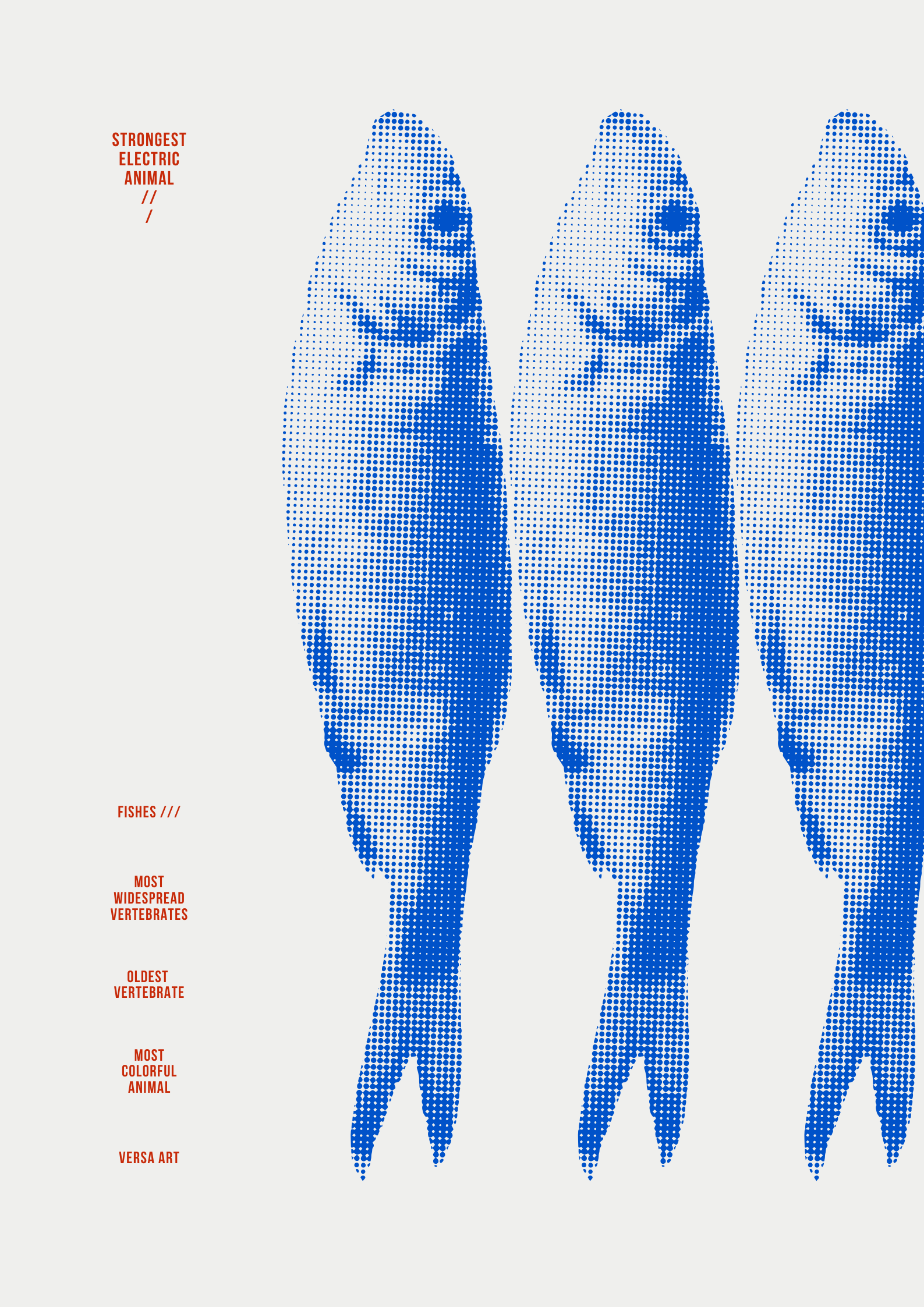 FISHES POSTER
