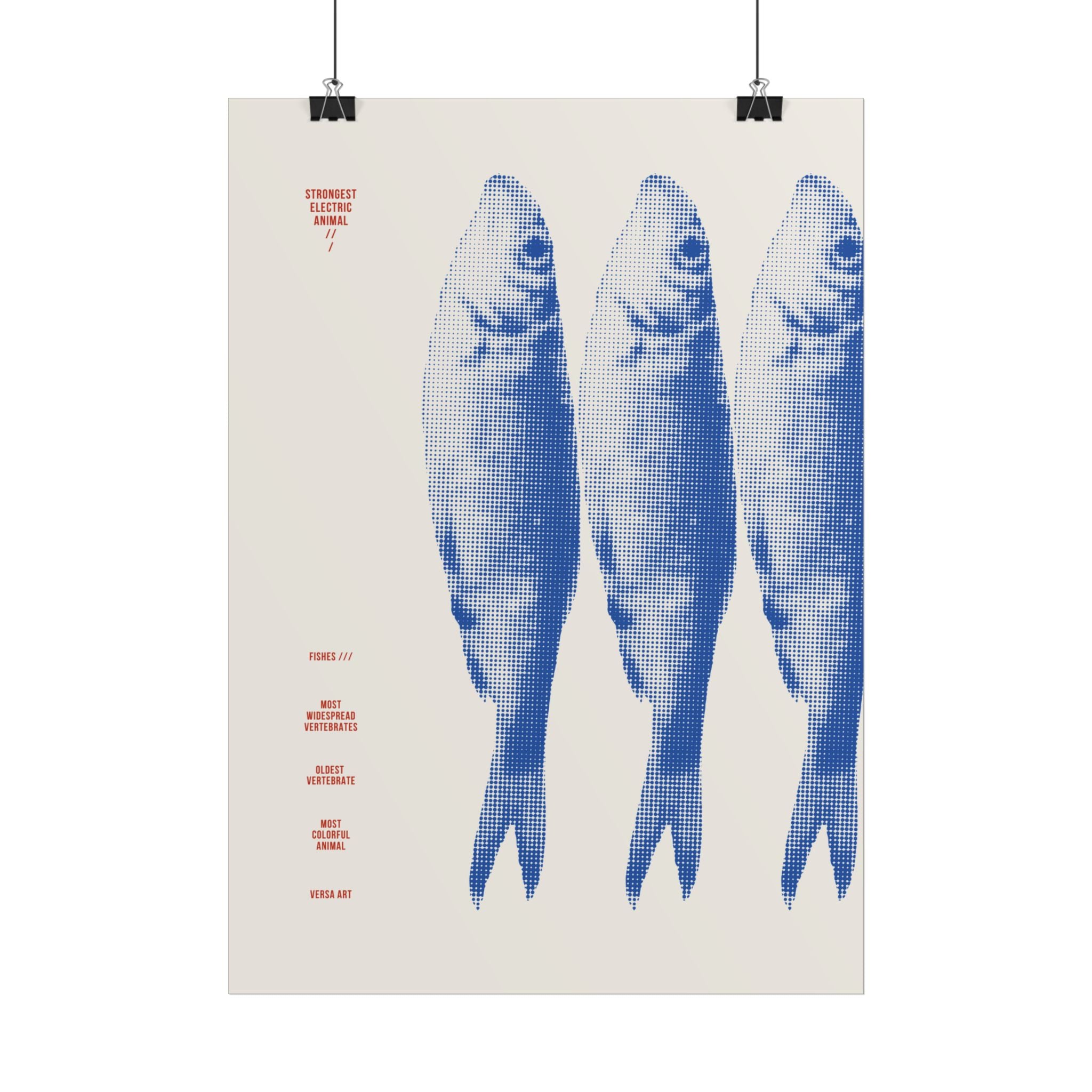 FISHES POSTER